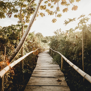 哦┅┅快┅┅用力啊┅警花少妇
