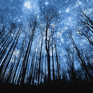 哦┅┅快┅┅用力啊┅警花少妇
